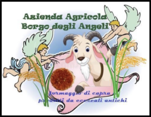 Azienda agricola borgo degli angeli